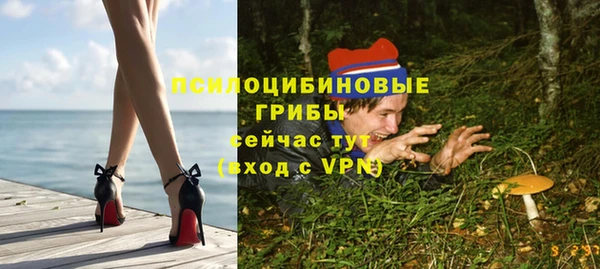 ПСИЛОЦИБИНОВЫЕ ГРИБЫ Алексин