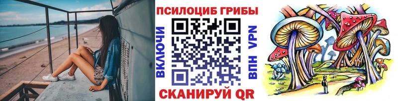 Псилоцибиновые грибы прущие грибы  Алушта 