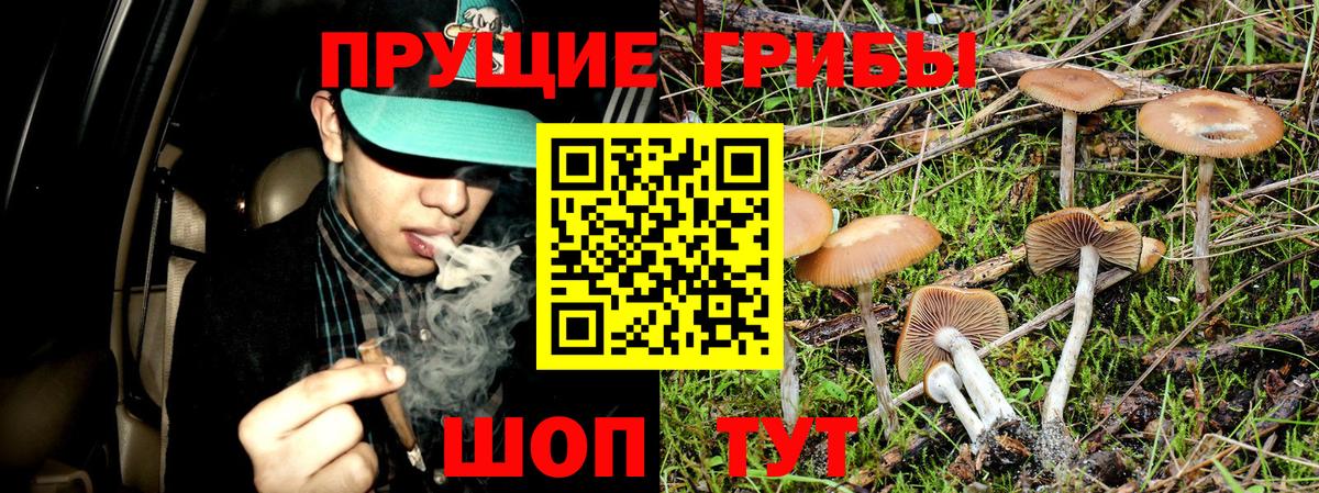 Лсд 25  Бошки Шишки  Кокаин  Вход с VPN  Алушта  МЕФ   ГАШИШ  ГАШ 