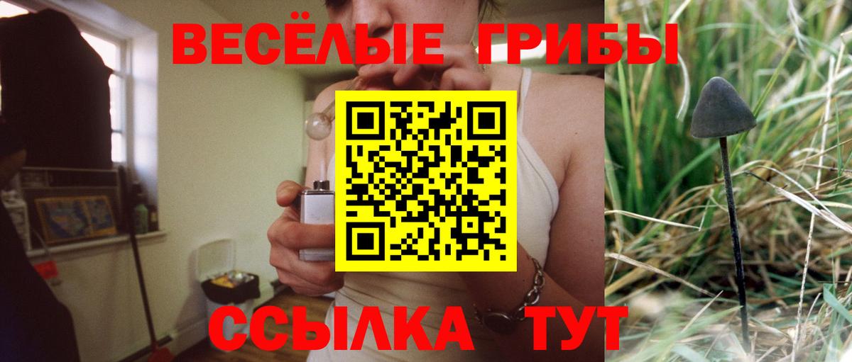 где найти наркотики  Галлюциногенные грибы Cubensis  Вход с VPN  Алушта  Галлюциногенные грибы Magic Shrooms 